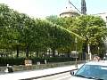 DSCN0206.jpg