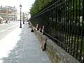 DSCN0259.jpg