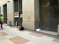 DSCN8714.jpg