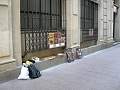 DSCN9015.jpg