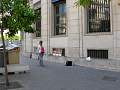 DSCN9719.jpg